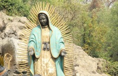 The apparitions of Our Lady of Guadaloupe