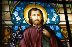 The flower of Saint Joseph is the nard: let’s find out together the reason why