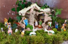 How to store moss for the Nativity scene