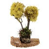 Nativity accessory, yellow lichen tree for do-it-yourself nativity scene