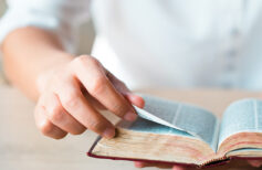 the history of dogmas