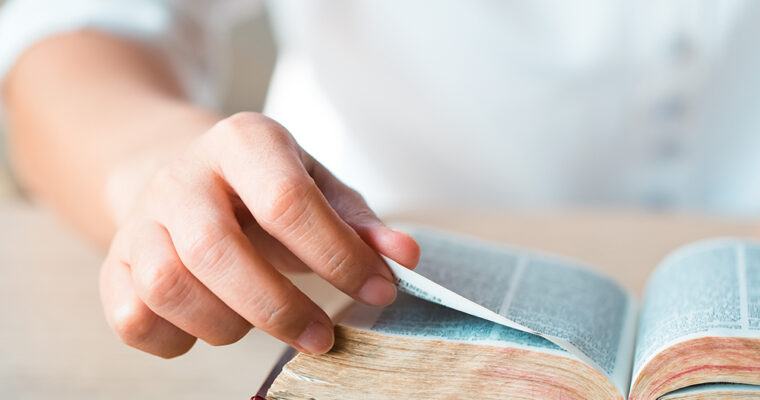 The History of the Dogmas of the Catholic Church