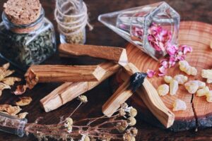 Palo Santo: Properties and Benefits of Its Precious Wood