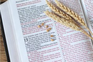 All of Jesus’ parables