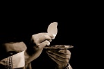 The host in the Eucharistic celebration